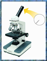 Premiere® Advanced Microscope MF-01